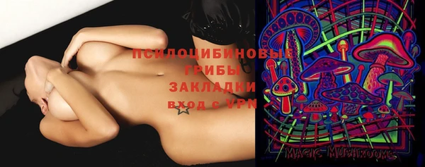 индика Ростов