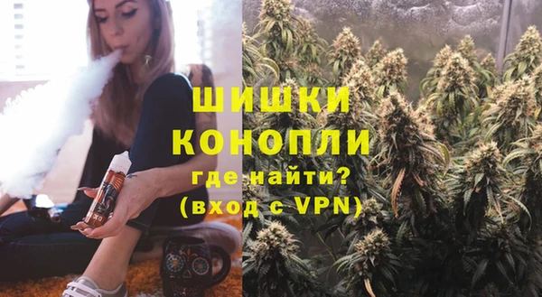 индика Ростов