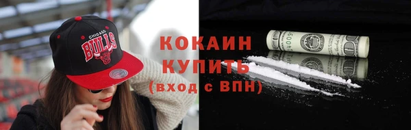 индика Ростов