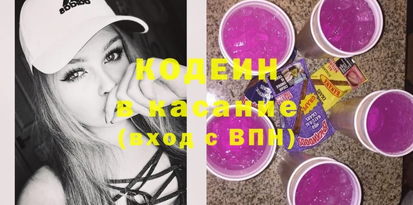 индика Ростов