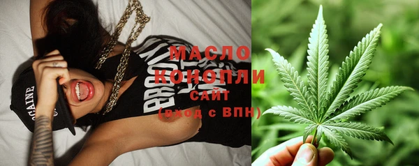 индика Ростов